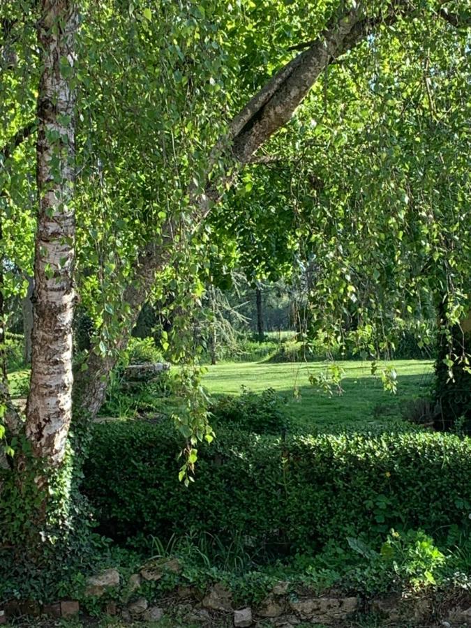 Moulin De Champrond -Montmirail -Sarthe Bed & Breakfast Dış mekan fotoğraf