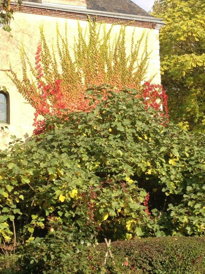 Moulin De Champrond -Montmirail -Sarthe Bed & Breakfast Dış mekan fotoğraf