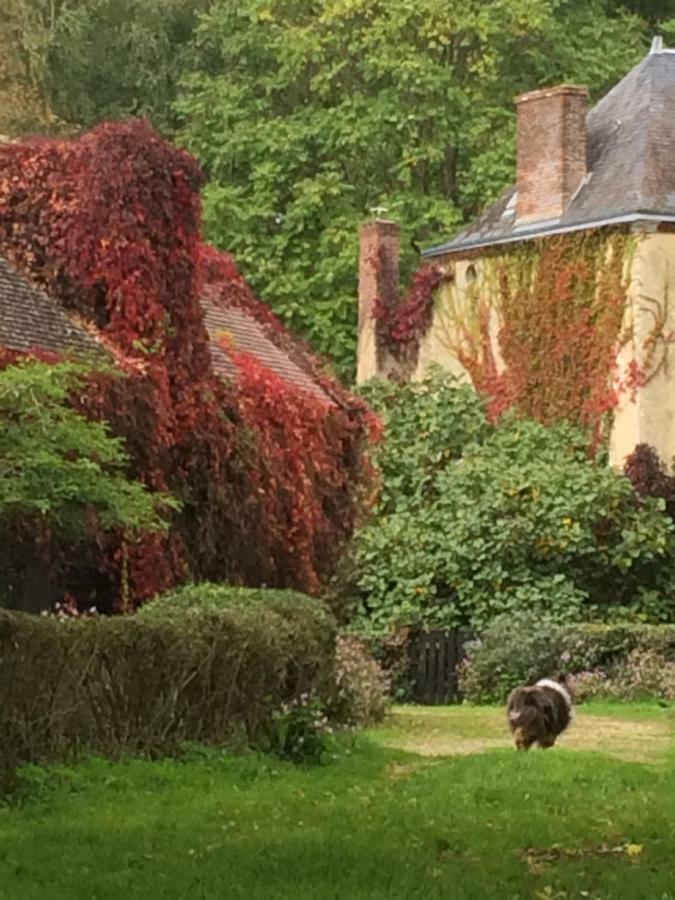 Moulin De Champrond -Montmirail -Sarthe Bed & Breakfast Dış mekan fotoğraf